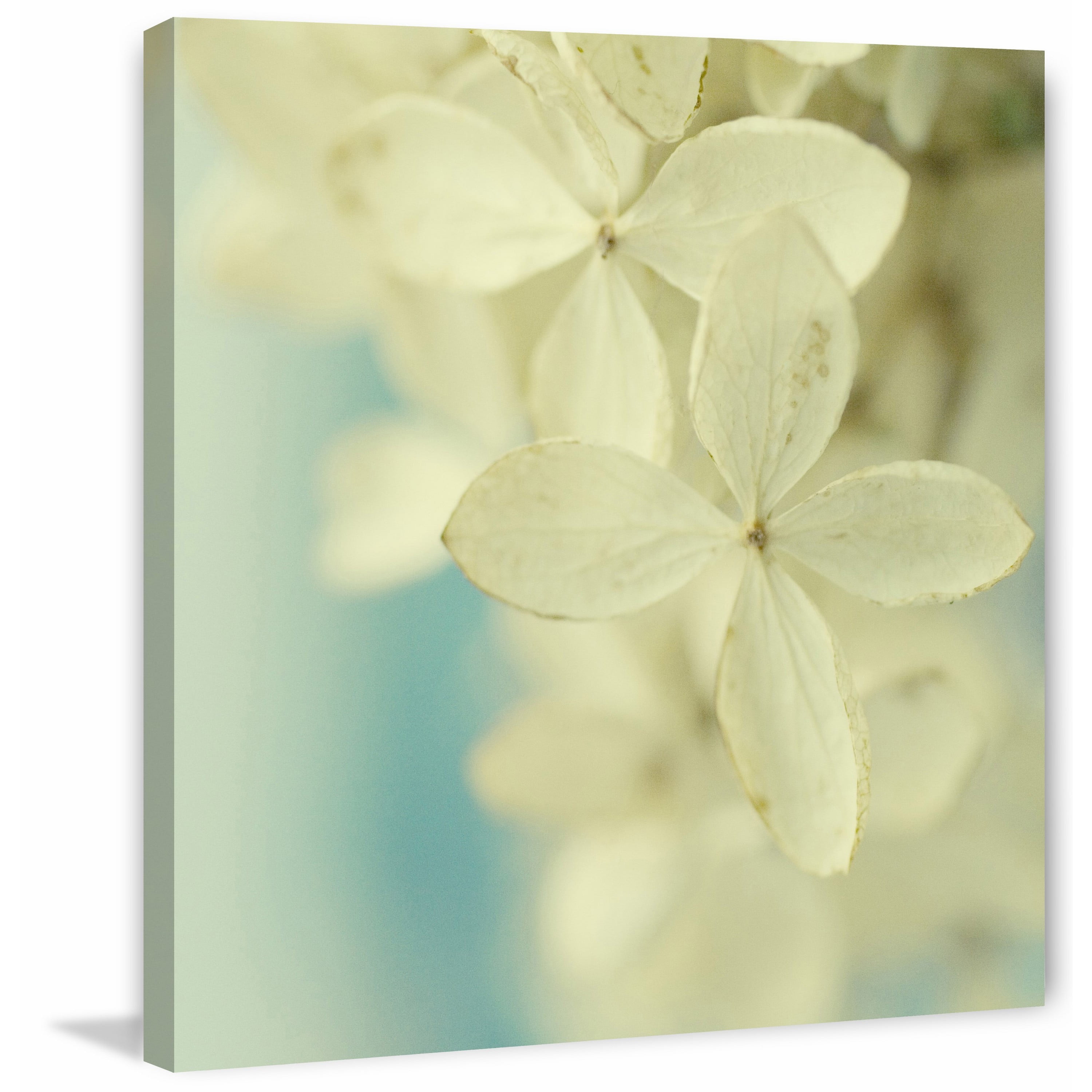 "Hydrangea on Turquoise" Painting Print on Wrapped Canvas