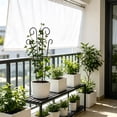 thumbnail image 6 of Black Metal Garden Trellis with Curved Top,Iron Plants Support Stake for Climbing Vines & Flowers, 6 of 6