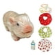 thumbnail image 5 of Muñeco de cerdito Reborn, Mini cerdito de juguete, cerdo de silicona realista, Mini cerdito de silicona para juegos de rol, accesorios de fotografía Estilo A, 5 of 8