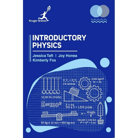Introductory Physics, (Hardcover)