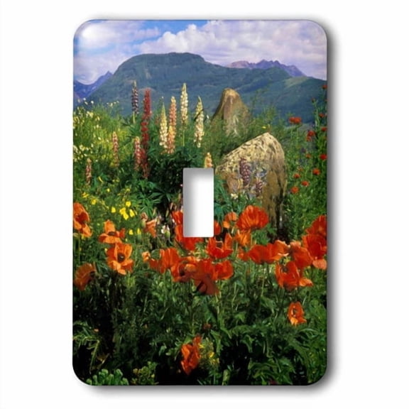 3dRose, USA, Colorado, Crested Butte. Poppies and lupine in mountain garden., single toggle switch