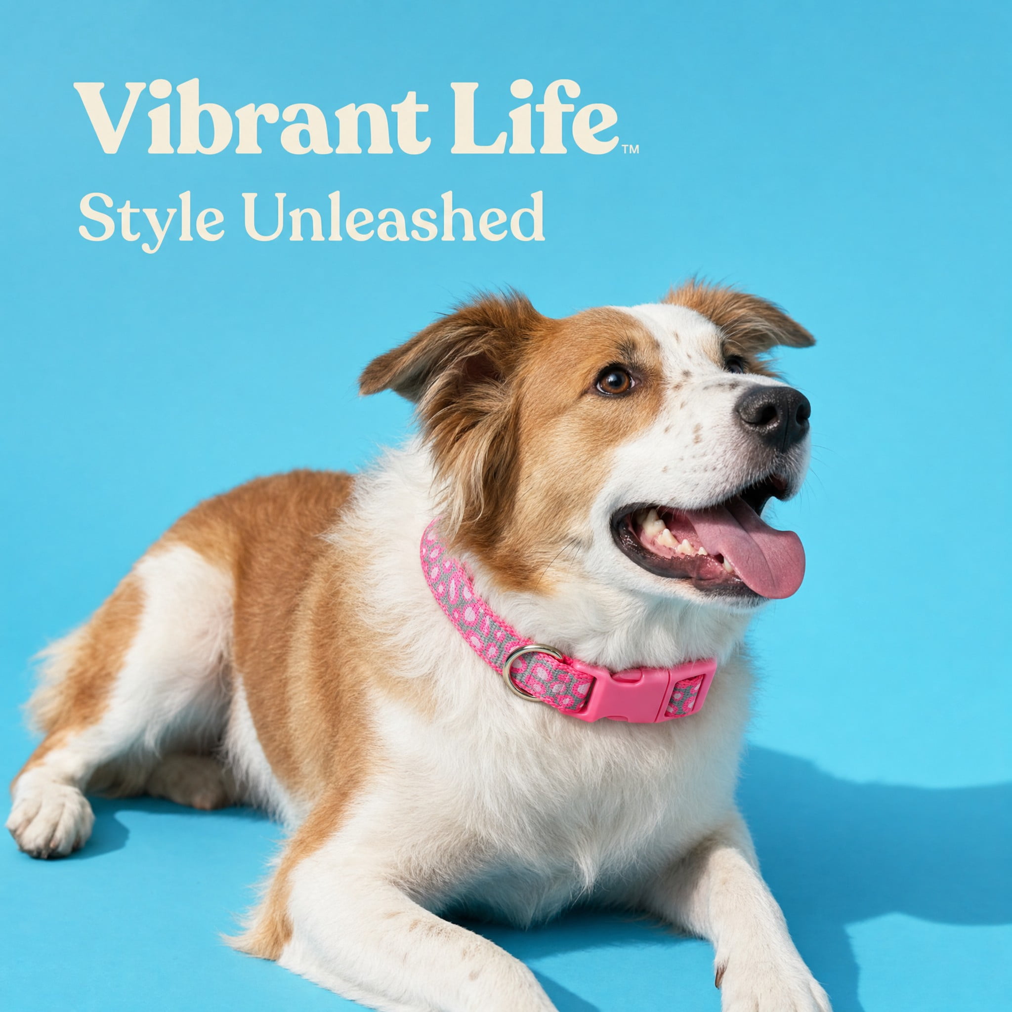 Vibrant Life Reflective Adjustable Dog Collar, Pink Cheetah, Large