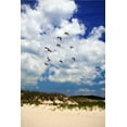 thumbnail image 2 of Alan Hausenflock 4x24 White Modern Wood Framed Wall Art Titled - Pelicans over the Dunes V, 2 of 5