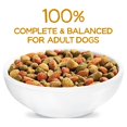 Shop Purina Beneful Originals Dry Dog Food Farm Raised Chicken, 14 lb