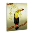 thumbnail image 4 of Stupell Industries One Toucan on Branch Animals & Insects Painting Gallery Wrapped Canvas Art Print Wall Art, 16 x 20, 4 of 8