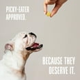 thumbnail image 4 of Whole Life Pet Living Treats – Pumpkin and Yogurt Recipe Probiotic Treats For Dogs, 3oz, 4 of 10