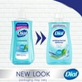 thumbnail image 2 of Dial Antibacterial Liquid Hand Soap, Spring Water, 11 fl oz (Pack of 4), 2 of 14