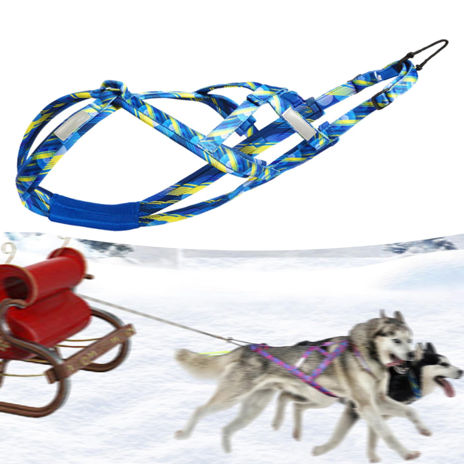 Dog Weight Pulling Harness Husky Harness Professional for Medium Large Dogs, Bikejoring, Dog Mushing Harness Sled Harness , Blue XL