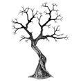 thumbnail image 1 of Lavinia Tampon - Arbre Sacré, 1 of 1