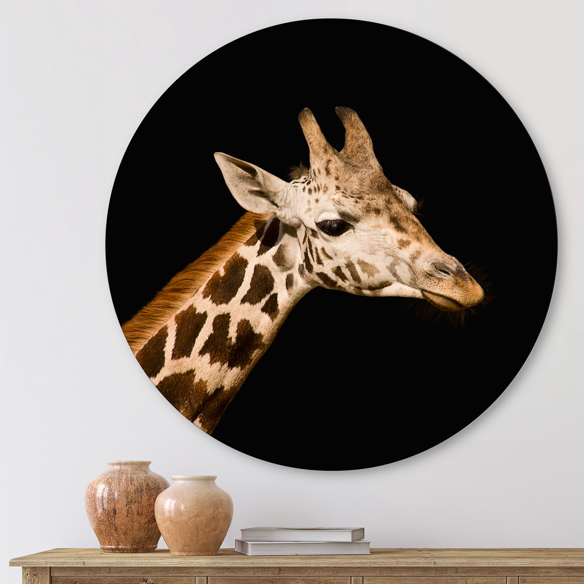 Designart 'Close Up Portrait Of A Giraffe On Black IV' Farmhouse Circle Metal Wall Art 11x11 - Disc of 11
