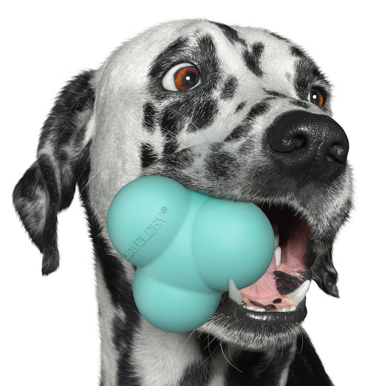 Playology Squeaky Bounce Ball Peanut Butter Scented Dog Toy Playology Squeaky Bounce Ball Peanut Butter Scented Dog Toy