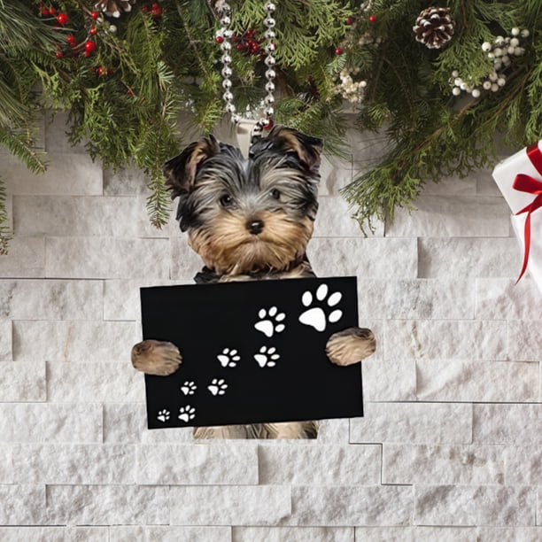 Adorno Interior espejo retrovisor colgante para perro Mini juguetes para cachorros los mejores regalos