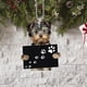 thumbnail image 1 of Adorno Interior espejo retrovisor colgante para perro Mini juguetes para cachorros los mejores regalos, 1 of 6