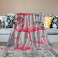 thumbnail image 2 of ARISTURING Flamingo Blanket Soft Warm Pink Flamingo Animal Throw Blanket Gifts for Women Girls Flamingo Stuff Decor Cozy Plush Lightweight Flannel Gifts Blankets for Adults Kids, 2 of 6