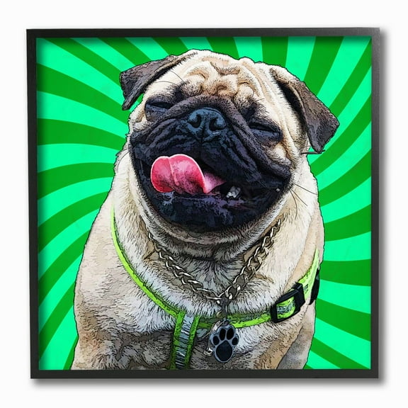 Stupell Industries Happy Pug Portrait over Vibrant Green Spirals Designed by Kim Curinga
