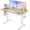 Nature, variant on HUANG Electric Height Adjustable Standing Desk, 48x24 Inch with T-Shaped Frame, 3 Memory Buttons, Black Frame/Rustic Brown Top