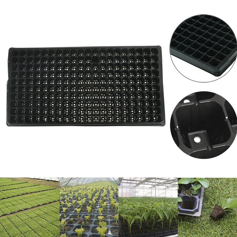 Details about   200Cells Seedling Growing Cases Germination Plant Propagation Nursery SeedRSH5 