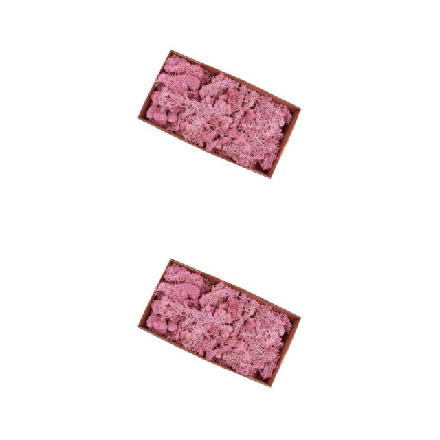 Ounissouiy Musgo de reno seco Natural tratado artesanías de musgo inmortal DIY decoración rosa 2piezas Rosa 500g
