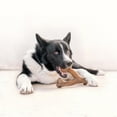thumbnail image 2 of Benebone Essentials 2-Pack Wishbone, Bacon and Chicken, M/L, 2 of 9