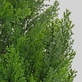 thumbnail image 3 of 50 in. Artificial Tree Decoration, Cedar, Includes Green Pot Base, 3 of 3