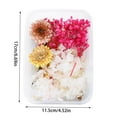 thumbnail image 3 of TIELUTT 1 Vraie Fleur Séchée Garnitures en Résine Fleurs en Pot Fleurs d'Automne Fleur Suspendue pour Extérieur Choux Roses Fleurs Fleurs pour Extérieur, 3 of 6