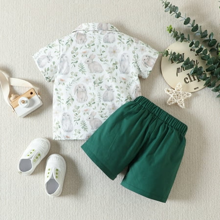 

Cathalem New Born Boy Baby Gift Toddler Boys Short Sleeve Easter Cartoon Rabbit Prints T Shirt Toddler Suspenders And Bow Tie Set Green 12-18 Months