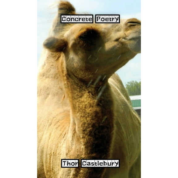Concrete Poetry, (Hardcover)