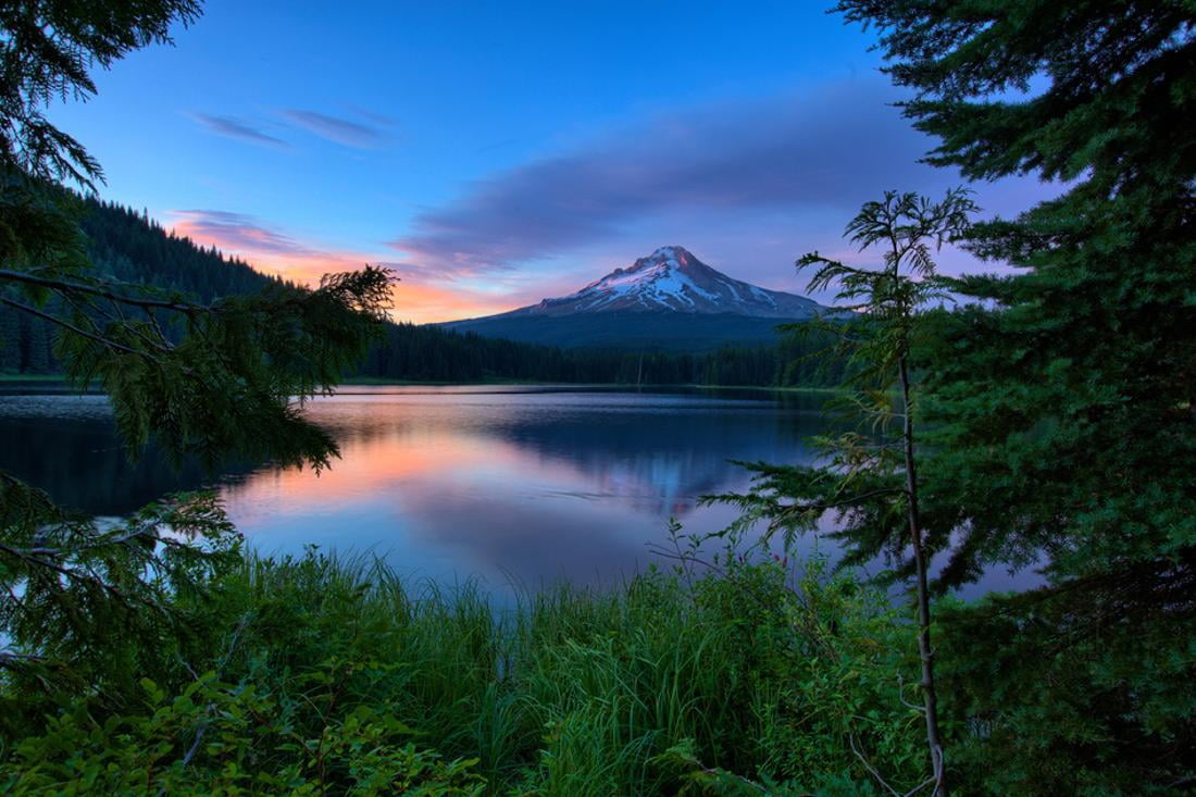 Tree Framed Trillium Lake Reflection, Summer Mount Hood Oregon Forest