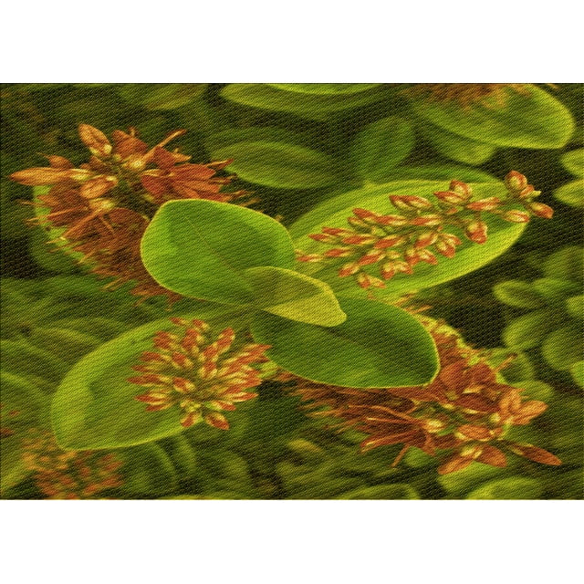 Ahgly Tapis Rectangulaire Lavable en Machine Intérieur Transitionnel Jaune Foncé Vert, 5 Pieds x 7 Pieds
