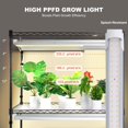 thumbnail image 4 of Plant Stand with Grow Light Grow Light Shelf with Cover and Thermometer Plant Shelf with Grow Light Full Spectrum Light Mini Plant Stand with Timer for Seed Starting ( s Light, 4 of 9