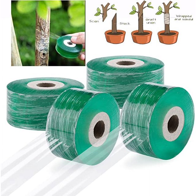 Cinta de injerto transparente de 4 piezas (6 cm de ancho), cinta de injerto de fitorremediación transparente, envoltura de plántulas y cinta de injerto de protección vinculante, puede estirar árboles