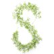 thumbnail image 1 of Flores simuladas, flores artificiales de plástico, enredaderas artificiales para bodas, decoraciones para bodas, plantas verdes, enredaderas, 1 of 5