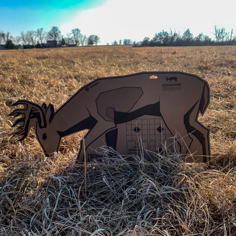 Triumph Systems Downwind Big Buck Hunting Target, 3 Count