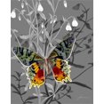 thumbnail image 2 of Burghardt, James 15x18 Black Ornate Wood Framed with Double Matting Museum Art Print Titled - On Display IV, 2 of 4