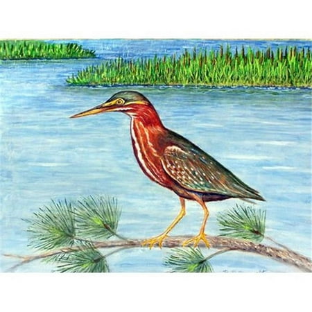 

Green Heron II Place Mat - Set of 4