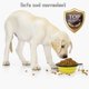thumbnail image 4 of Juego de 2 cuencos portátiles de viaje, cuenco plegable para perros, botella de silicona con mosquetón, sin BPA, para perros, gatos, mascotas, senderismo, camping, comida y agua, amarillo + verde, 4 of 5