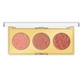 thumbnail image 2 of Milani Rose Blush Trio Palette, Floral Fantasy, 2 of 7