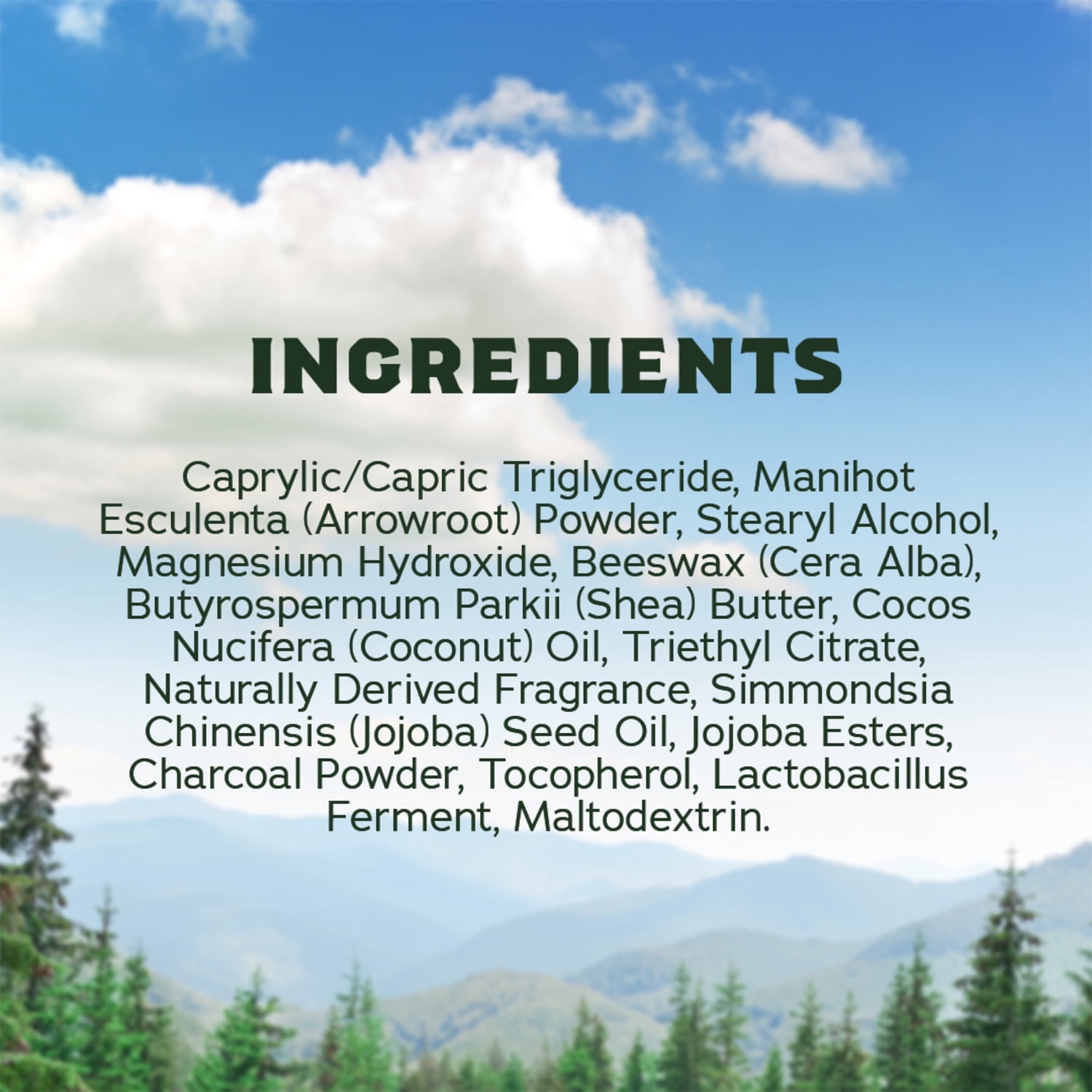 Dr. Squatch Mens Aluminum Free Deodorant, Natural Deodorant for Men Mini, Wood Barrel Bourbon, 2.65 Oz