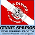 thumbnail image 3 of CafePress - Ginnie Springs T Shirt - Men's Classic Graphic T-Shirt, 3 of 4