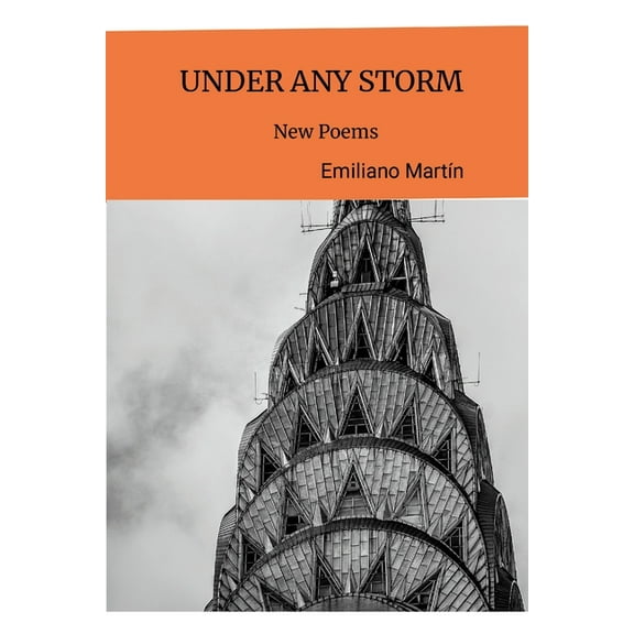 Under Any Storm, (Paperback)