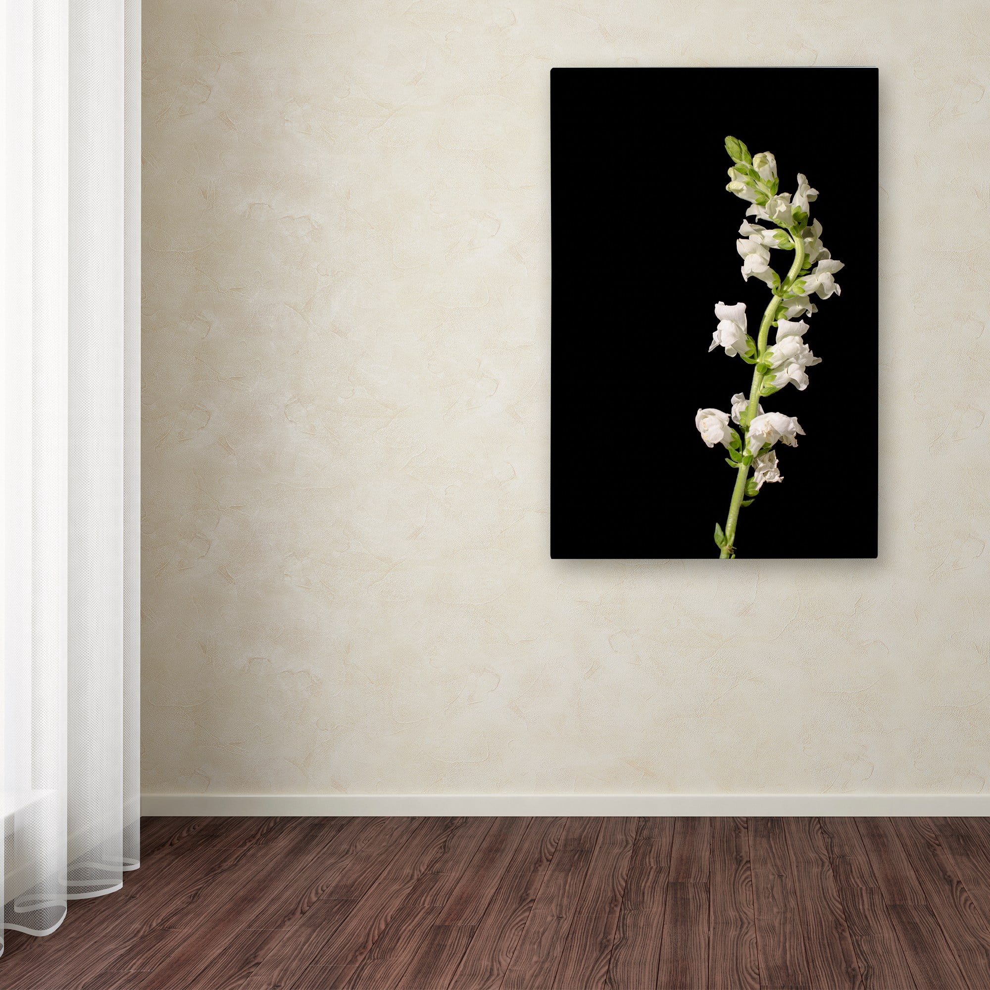 Trademark Fine Art 'White Snapdragons Against Black Background' Canvas Art by PIPA Fine Art