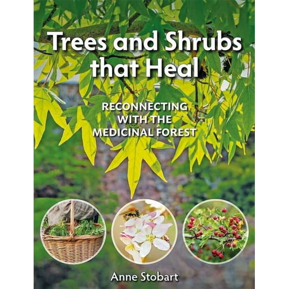 Trees and Shrubs That Heal: Reconnecting with the Medicinal Forest (Paperback)