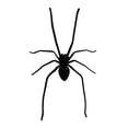 thumbnail image 2 of VINOIC 3D Fridge Magnets, Realistic Design for Home Decor, Strong Hold for Magnetic Surfaces, Lifelike and Fun for Kitchen and Office Use, 2 of 7