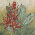 thumbnail image 3 of Meagher, Megan 15x15 Black Modern Framed Museum Art Print Titled - Crimson Tropical I, 3 of 5