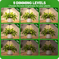 thumbnail image 5 of COSJM Grow Lights for Indoor Plants, 2 pack LED Plant Light, 3/9/12H Timer, Height Adjustable, 2 Mounting Options, 3 Lighting Modes, 9 Dimmable Levels, 5 of 13