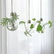 thumbnail image 5 of 3pcs Clear Glass Bulb Hanging Plant Flower Vase Hydroponic Container Bottle, 5 of 5
