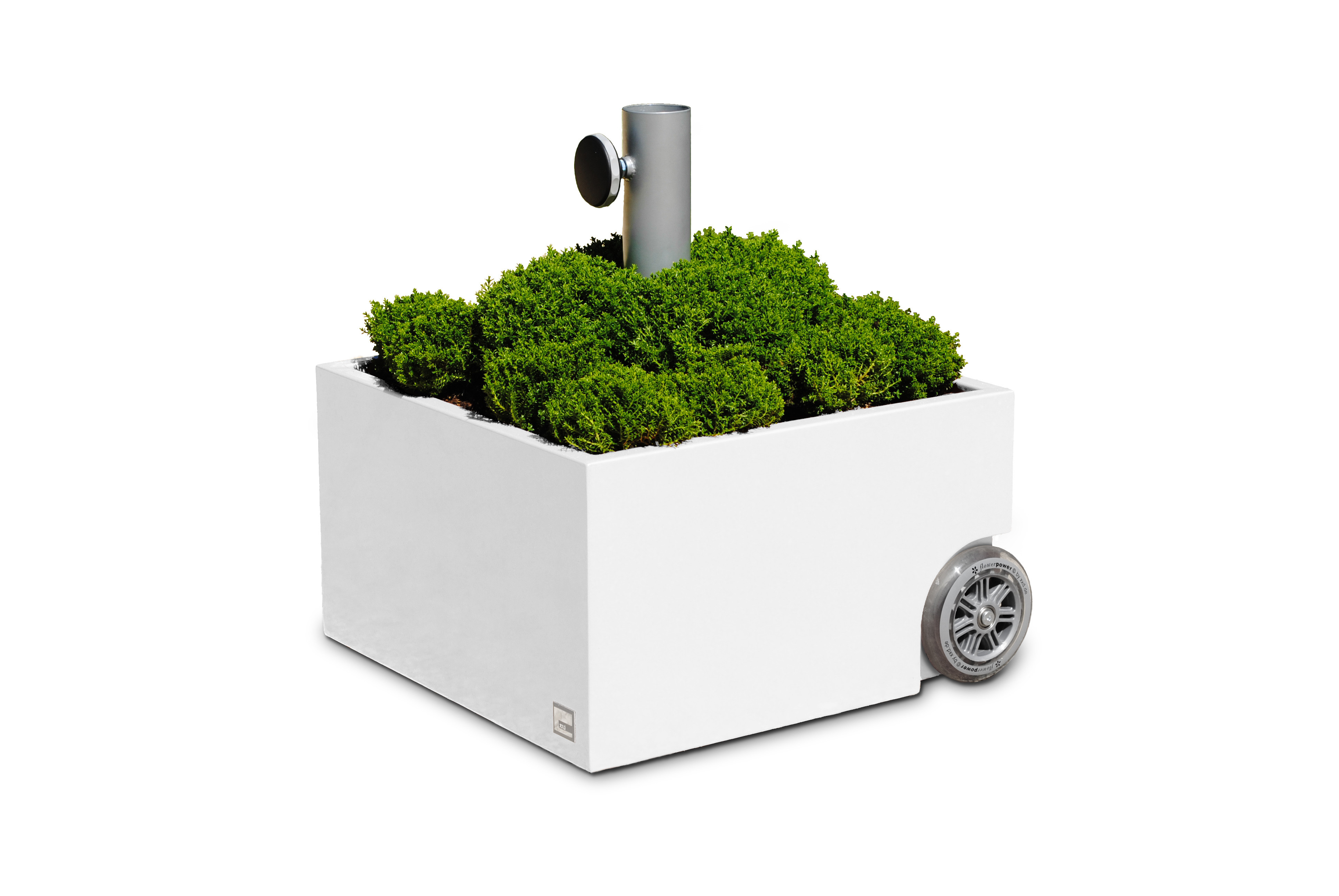 XXD�s Zinc Plated White Powercoated Planter &amp; Umbrella