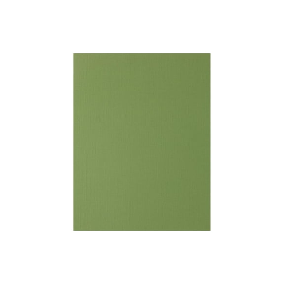 Cdstk Canvas 8.5x11 80lb 25pc Pk Desert Cacts PC