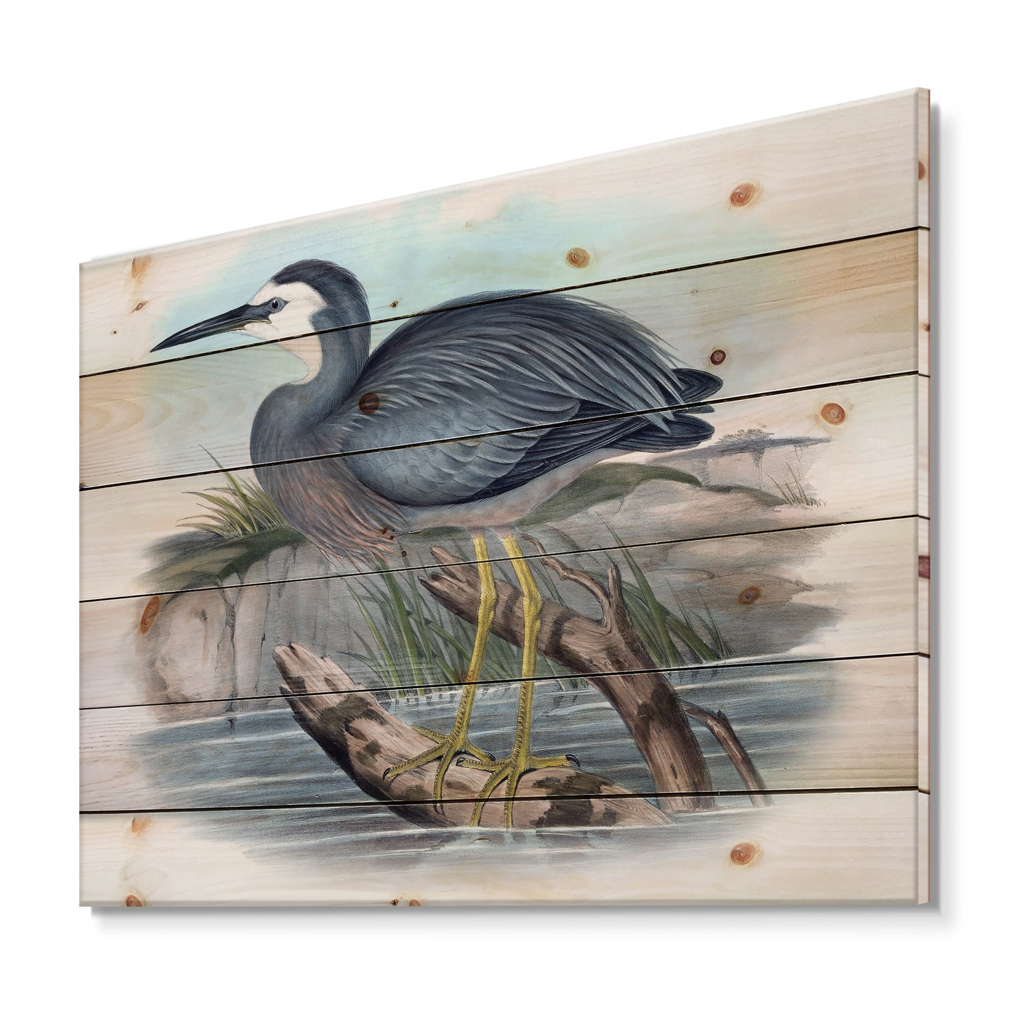 Designart 'Ancient Australian Birds II' Traditional Print on Natural Pine Wood