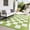 Light Grass Green, variant on ZACOO 8'x10' Checkerboard Outdoor Rug, Waterproof UV Resistant Patio Mat for Outdoor RV Deck, Black White